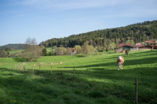 20120428_ökum-kirchenweg_010