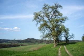20120428_ökum-kirchenweg_012