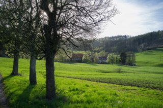 20120428_ökum-kirchenweg_017