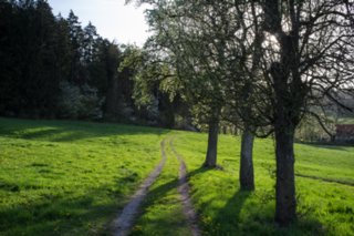 20120428_ökum-kirchenweg_018
