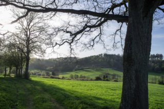 20120428_ökum-kirchenweg_021