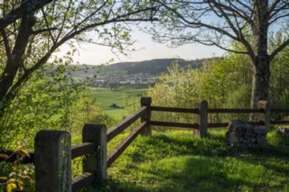 20120428_ökum-kirchenweg_034