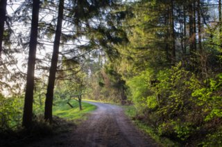 20120428_ökum-kirchenweg_038