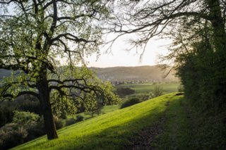 20120428_ökum-kirchenweg_042