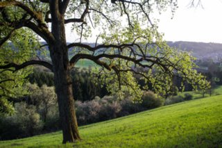 20120428_ökum-kirchenweg_045