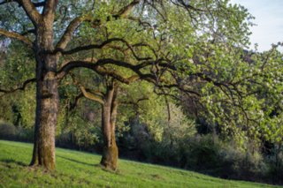 20120428_ökum-kirchenweg_048