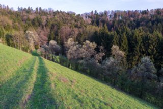 20120428_ökum-kirchenweg_049