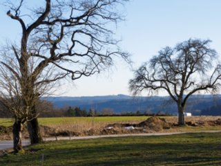 Oberrot Kornberg - Sittenhardt Spaziergang von Oberrot-Kornberg nach Sittenhardt. Wasserturm auf dem Kornberg. Blick Richtung Hagbergturm (Gschwend).