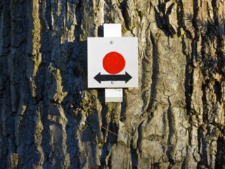 20110207_kornberg_043