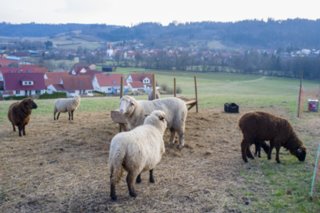 20120319_oberrot-obermuehle_011