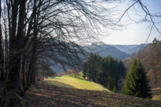 Oberrot - Obermühle - Ebersberg Abstieg über einen Hohlweg zur Obermühle. Wanderung von Oberrot zum Weinberg und Wasserreservoir. Oberhalb der Amselhalde. Abstieg über malerischen Holweg zur...