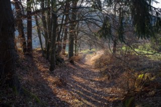 20120319_oberrot-obermuehle_039