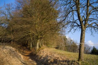 20120319_oberrot-obermuehle_043