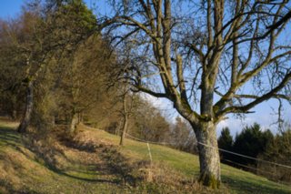 20120319_oberrot-obermuehle_045