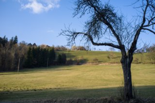 20120319_oberrot-obermuehle_059