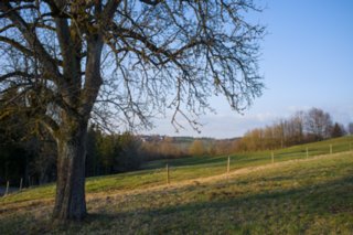 20120319_oberrot-obermuehle_084