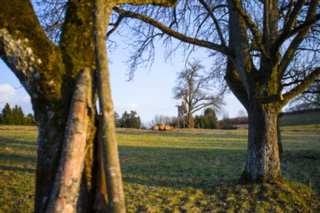 20120319_oberrot-obermuehle_087