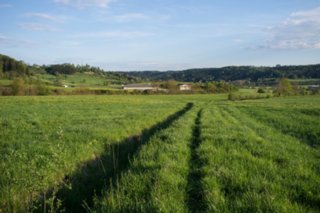 20120504_weinbergrunde_017