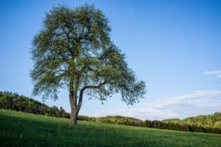 20120504_weinbergrunde_018