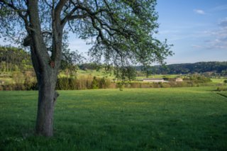 20120504_weinbergrunde_023