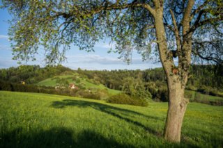 20120504_weinbergrunde_026
