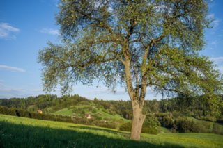 20120504_weinbergrunde_033