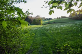 20120504_weinbergrunde_040