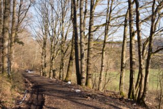 20130304_hoehenweg_007