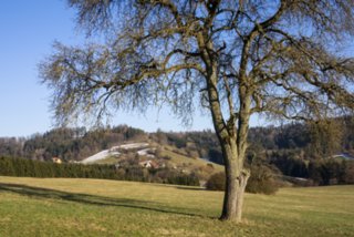 20130304_hoehenweg_008