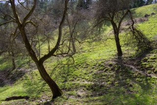 20130414_wiesenbachrunde_008