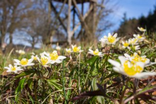 20130414_wiesenbachrunde_018-bearb