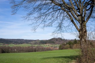 20130414_wiesenbachrunde_019