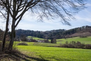 20130414_wiesenbachrunde_022