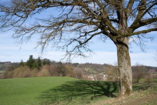 20130414_wiesenbachrunde_023