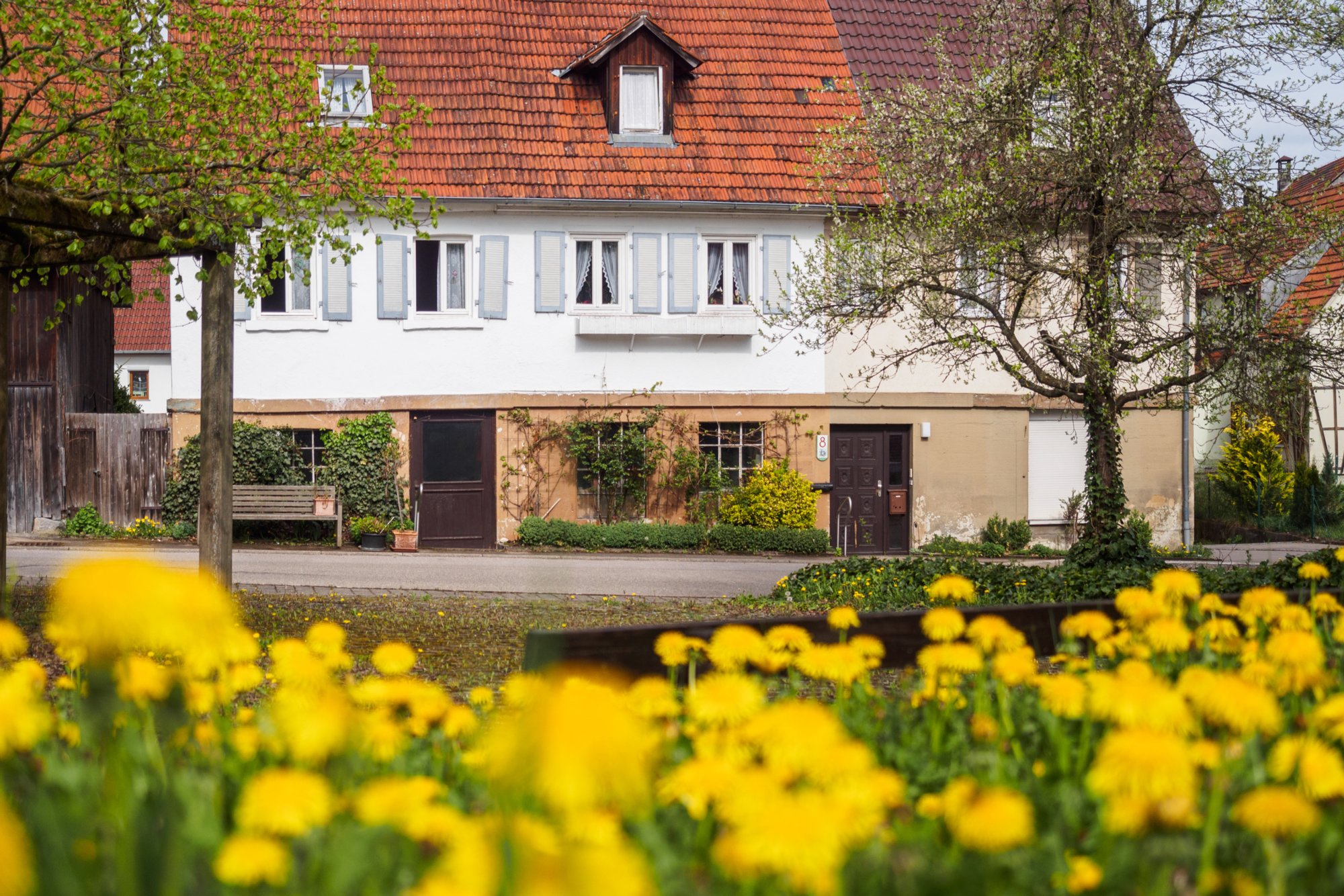 20150427_wiesenbachrunde_001 