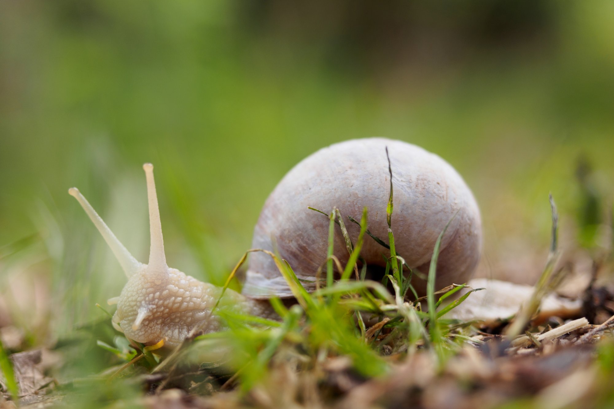 20150427_wiesenbachrunde_019 