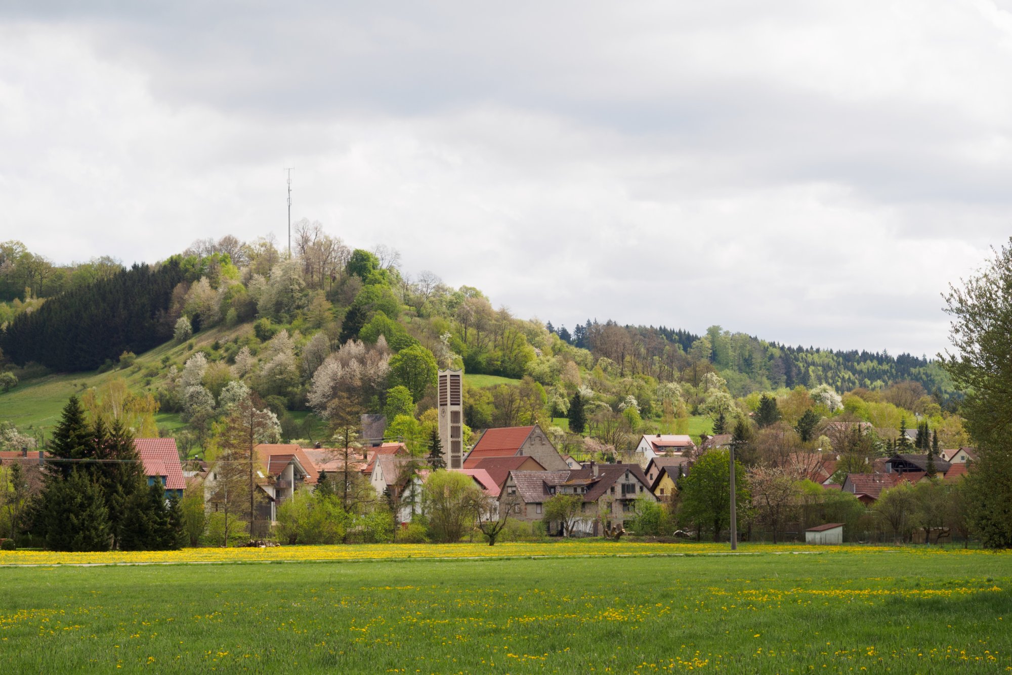 20150427_wiesenbachrunde_051 