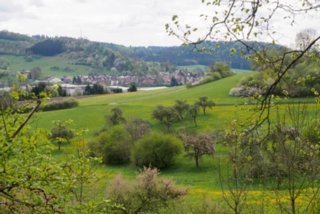 20150427_wiesenbachrunde_009