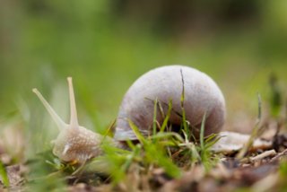 20150427_wiesenbachrunde_019