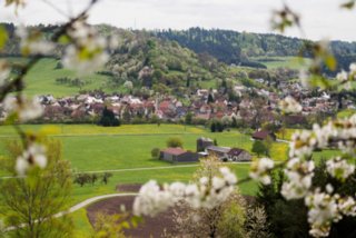 20150427_wiesenbachrunde_026