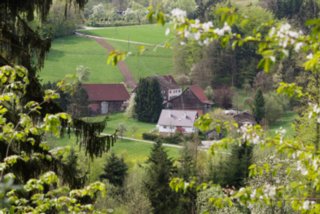 20150427_wiesenbachrunde_047