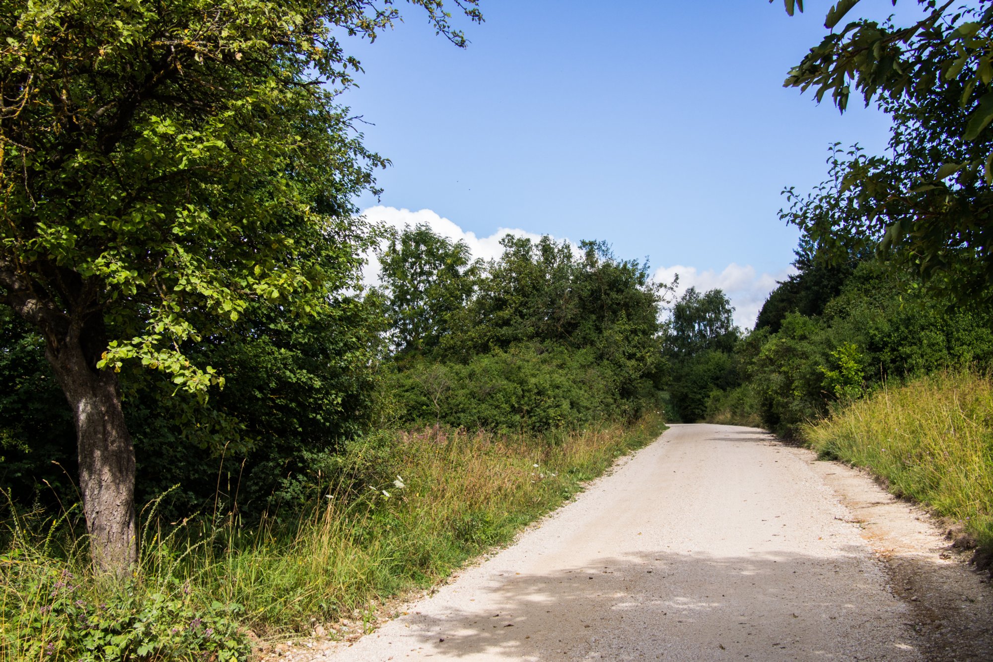 Weg zum Rommel-Denkmal Zugfahrt von Blaustein nach Herrlingen. Wanderung vom Bahnhof Herrlingen über das Rommel-Denkmal und Wippingen zum Rusenschloss oberhalb von Blaubeuren. Von dort Abstieg zum Bahnhof Blaubeuren und Rückfahrt mit dem Zug nach Blaustein.