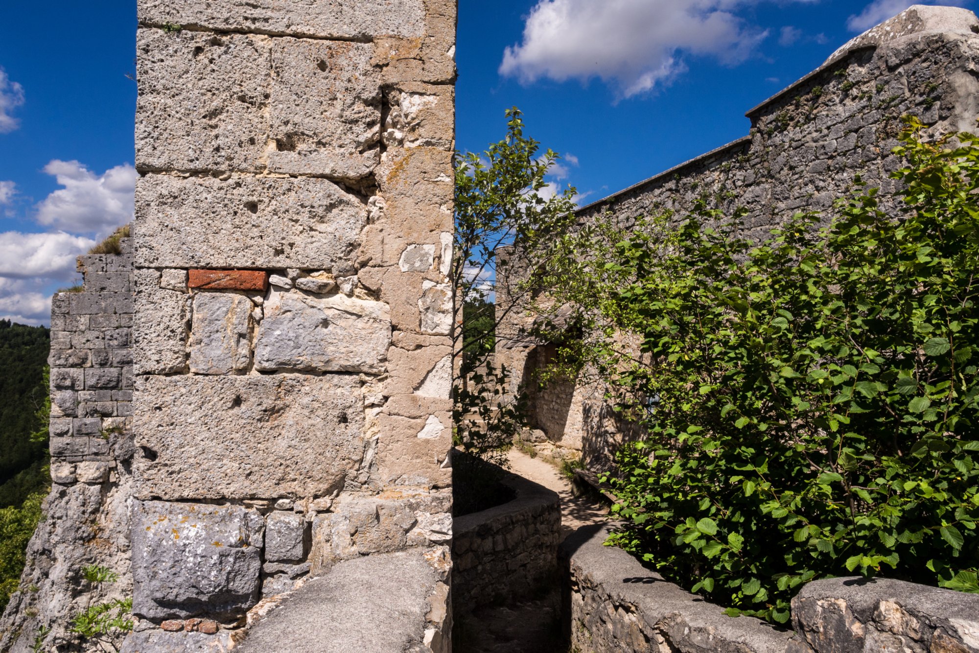 Rusenschloss Zugfahrt von Blaustein nach Herrlingen. Wanderung vom Bahnhof Herrlingen über das Rommel-Denkmal und Wippingen zum Rusenschloss oberhalb von Blaubeuren. Von dort Abstieg zum Bahnhof Blaubeuren und Rückfahrt mit dem Zug nach Blaustein.