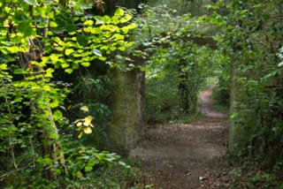 20130731_rusenschloss_039