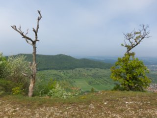 20110429_breitenstein_teck_018