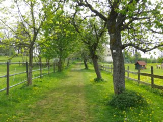20110429_breitenstein_teck_020