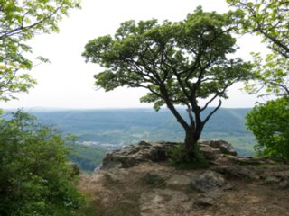 20110429_breitenstein_teck_044