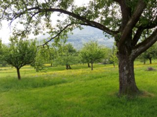 20110429_breitenstein_teck_071