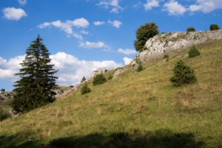 Eselsburger Tal Rundwanderung im Eselsburger Tal von Herbrechtingen nach Eselsburg und von dort über die Felsenlandschaft mit den Steinernen Jungfrauen zurück nach...