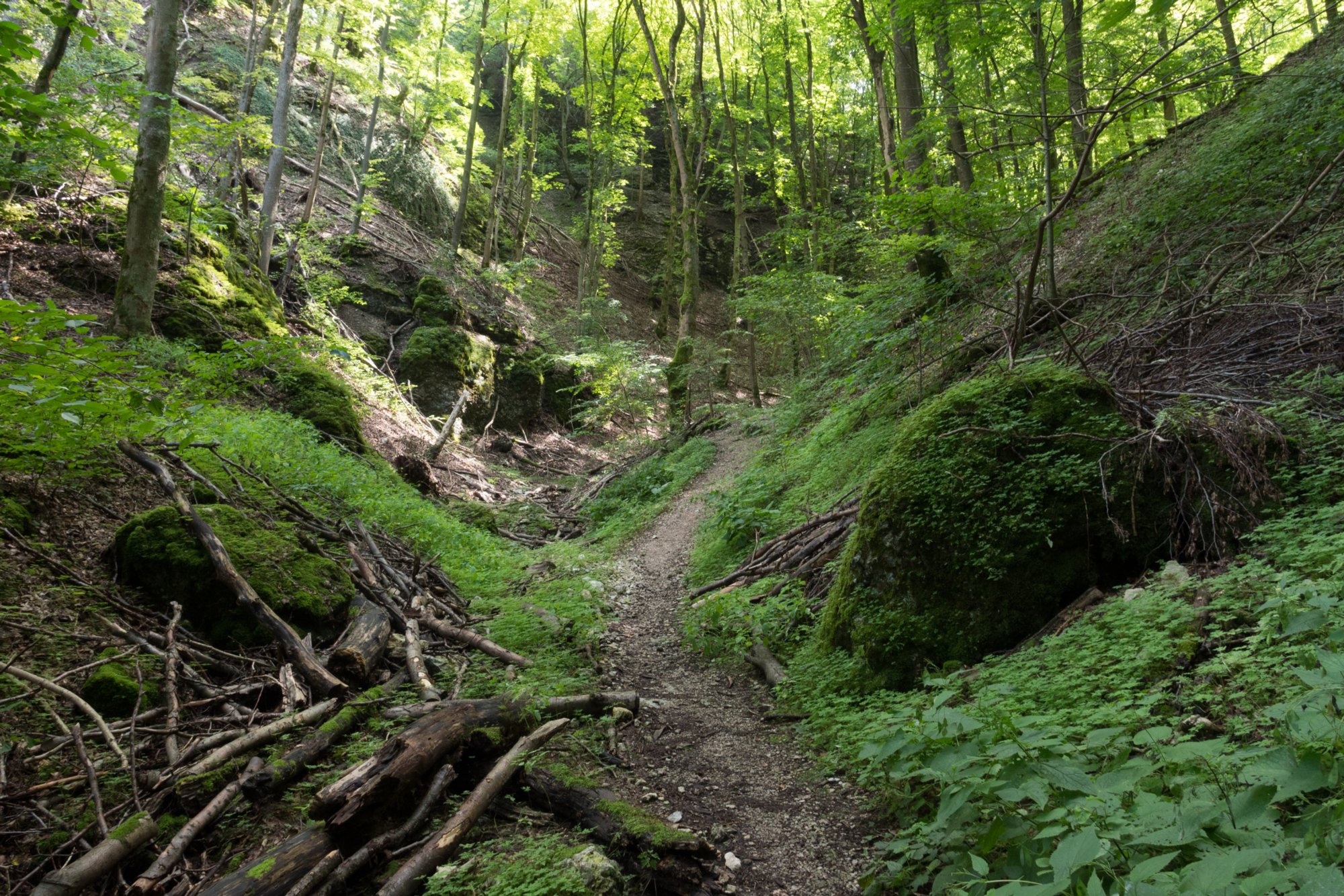 Felsenstal Weg durchs Felsental. Wanderung vom Bahnhof Geislingen an der Steige über den Anwandfels und den Himmelsfels nach Eybach. Von dort durch das Felsental über Weiler zur Ruine Helfenstein und zurück zum Bahnhof.